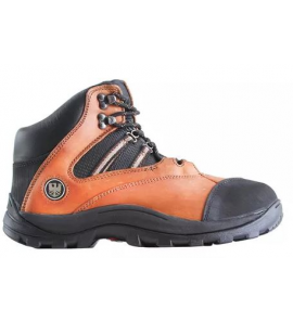 BOTIN EDELBROCK ED 101