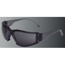 LENTE L600 PRO IN-OUT